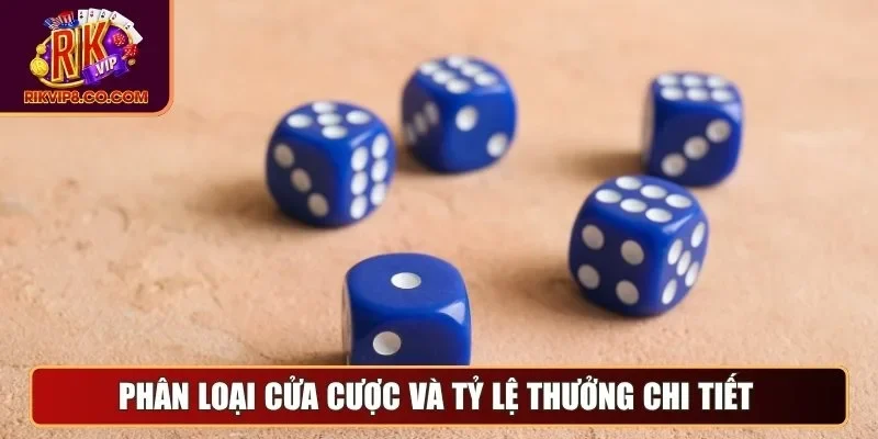 Phân loại cửa cược và tỷ lệ thưởng chi tiết